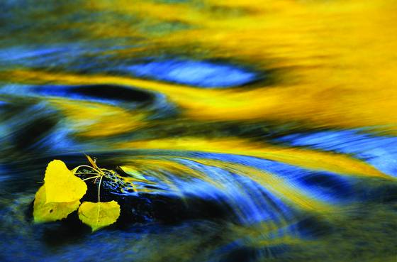 Current_fall_color