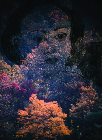 Face_in_the_trees