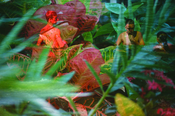 Jungle_children