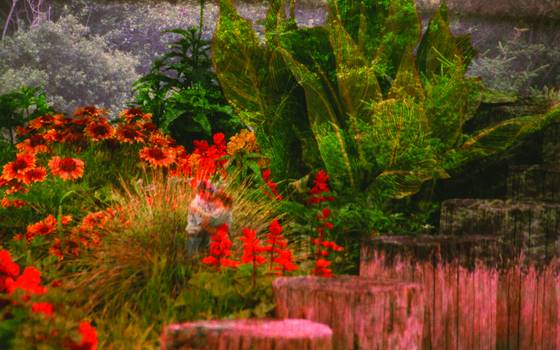 Lovers_in_the_field