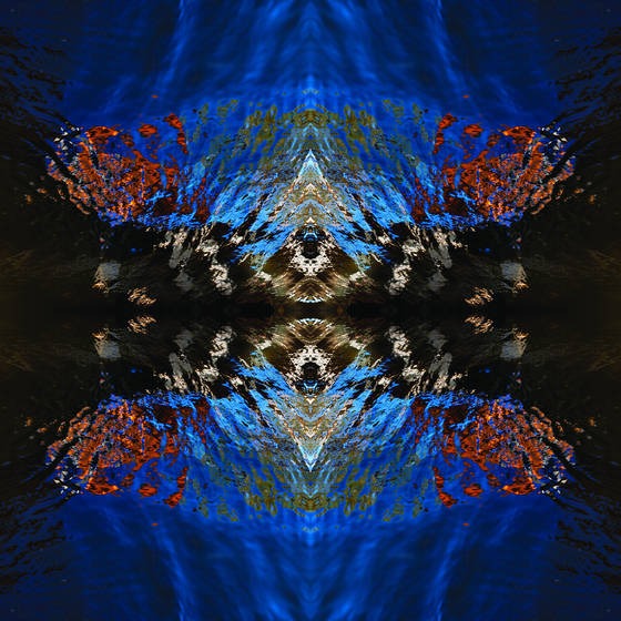 Water_reflections_3