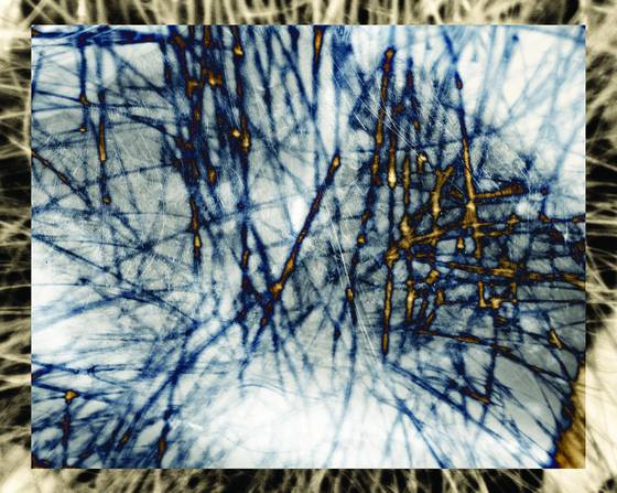 Untitled_1