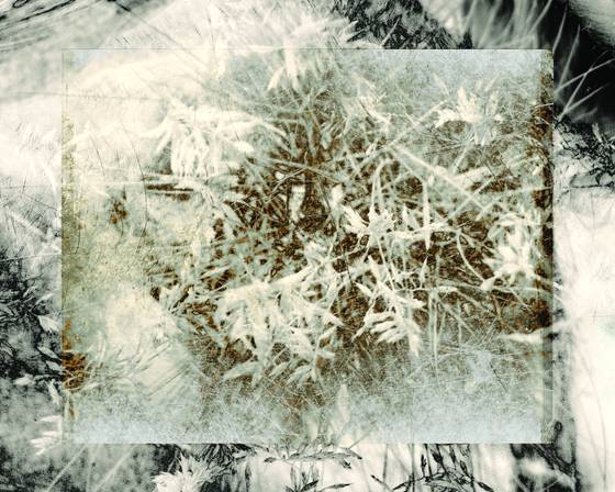 Untitled_2
