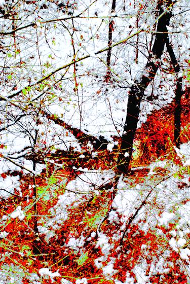Winter_fantasy