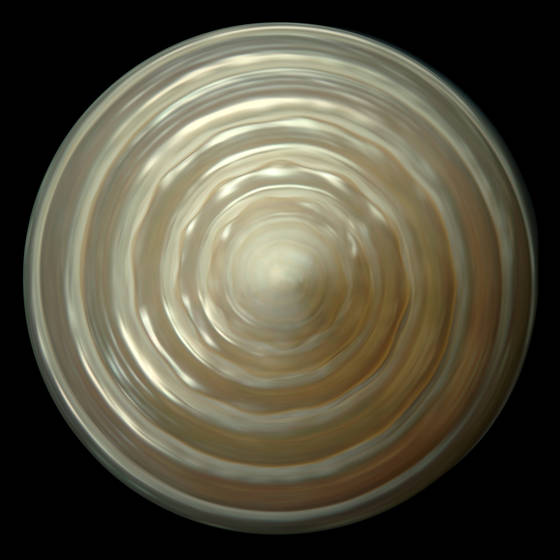 Shell__5