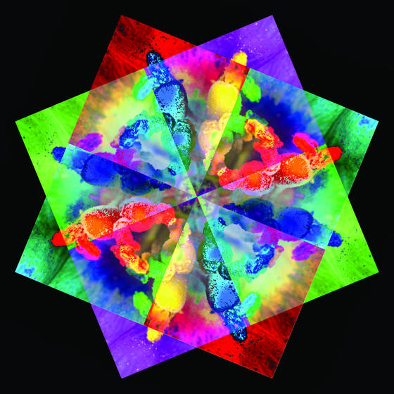Lisanthus_kaleidoscope