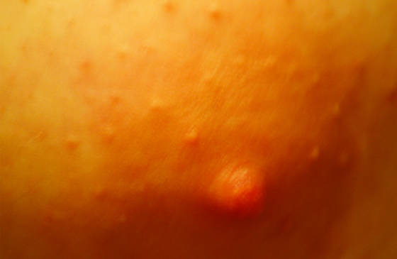Orange_crush
