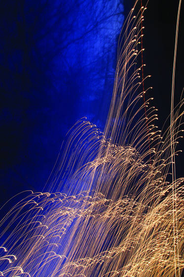 Forest_light_streaks