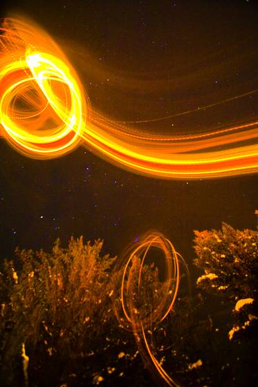 Stardance