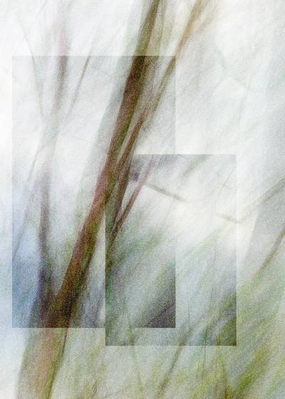 Winter_twigs