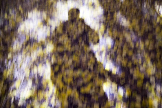 Untitled_1