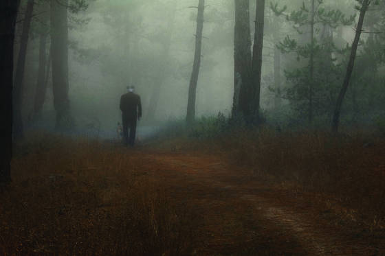 Into-the-woods