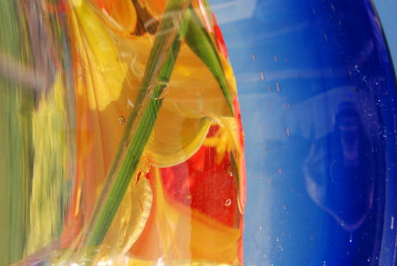 Untitled_2