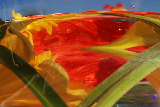 Untitled_3