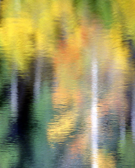 Reflection