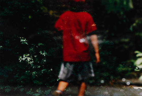 At_the_central_park_zoo