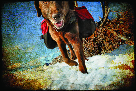 Backpacker