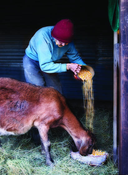 Farmer_franny