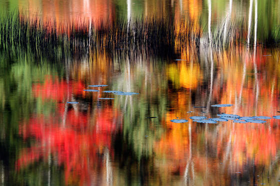 Signs_of_fall