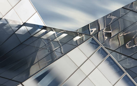 Gehryi