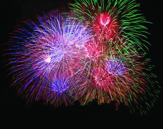 Fireworks_above_the_trees