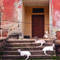 Goats_at_home