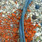 Junkyard_cable_divide