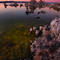 Mono_lake