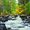 Mountain_stream