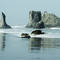Bandon_sea_stacks_1