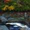 Top_of_linville_falls