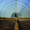 Hoop_house