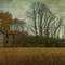 Abandoned_farm