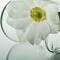 White_reflection