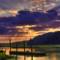 Calabash_morning