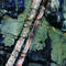 Rocks_1