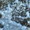 Winter_morn_2