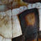 Old_tortise_shell