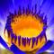 Egyptian_sacred_lily