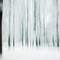 Trees_and_snow
