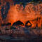 Canyon_sunset