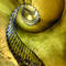 Aging_beauty