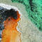 Thermal_bacteria