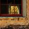 Warm___happy_welcome