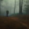 Into-the-woods
