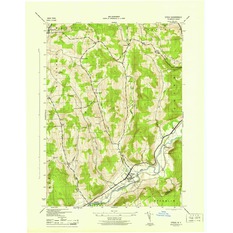 Otego, NY (1945, 31680Scale) United States Geological Survey