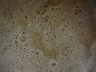 brew in a bag