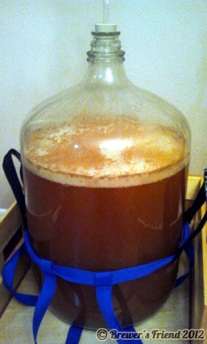 beer fermentor