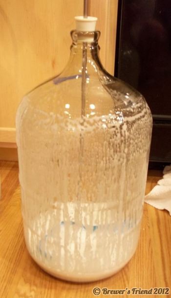 carboy cleaner