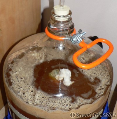 dry hopping beer